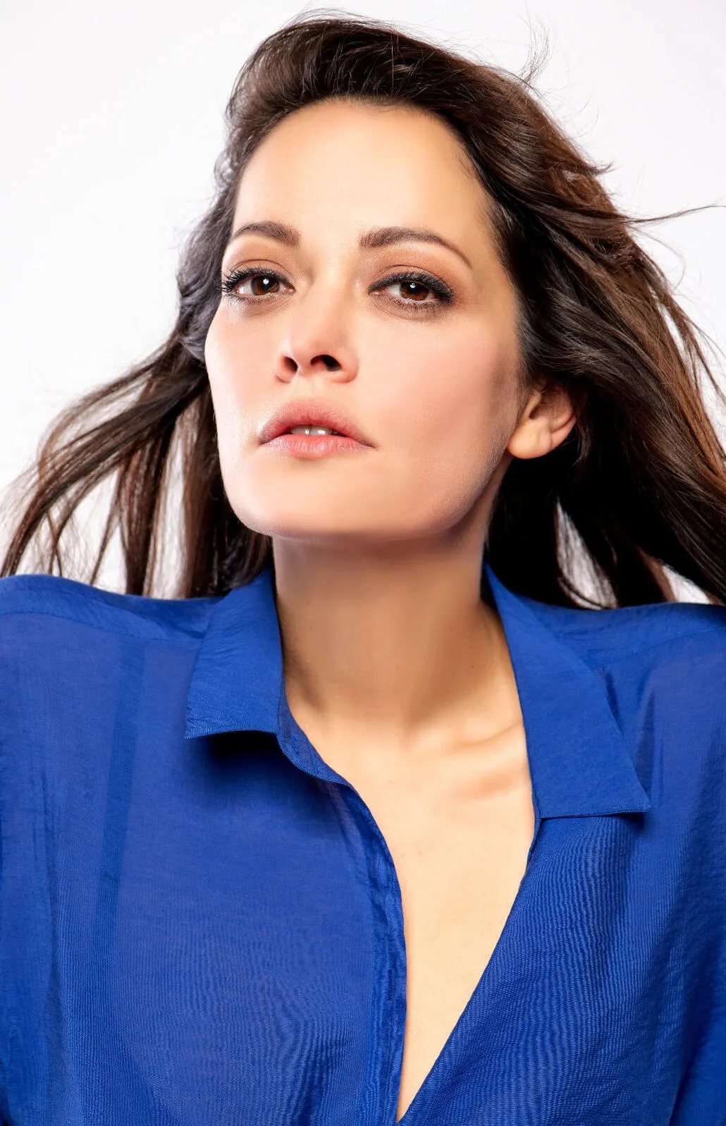 Gülistan Tartar Agency, Gülistan Tartar menajerlik